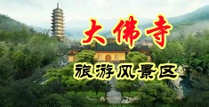 操逼骚逼鸡巴视频网址中国浙江-新昌大佛寺旅游风景区